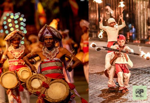 Photographs of Sankapala Perahera cultural event Photographs of Sankapala Perahera cultural event