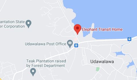 Udawalawe Elephant Transit Home Location